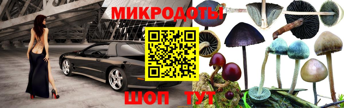 Галлюциногенные грибы прущие грибы Торжок